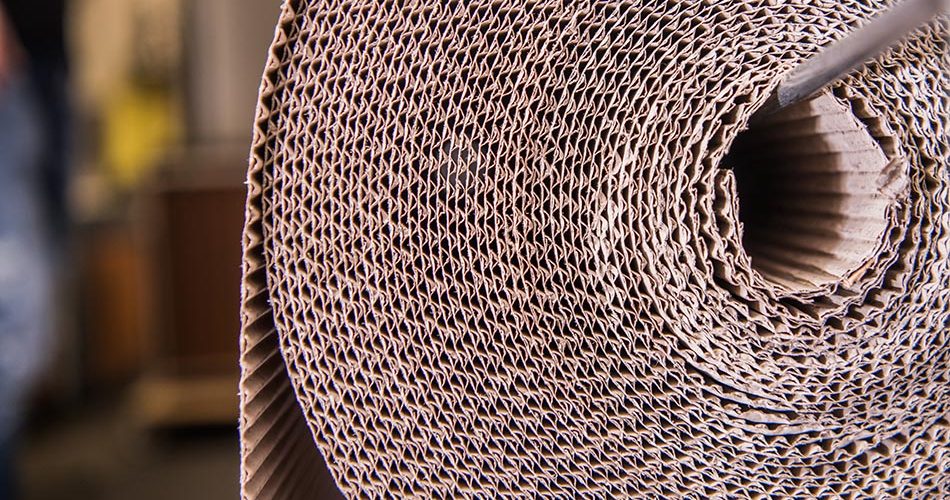 2 Ply Corrugated Rolls